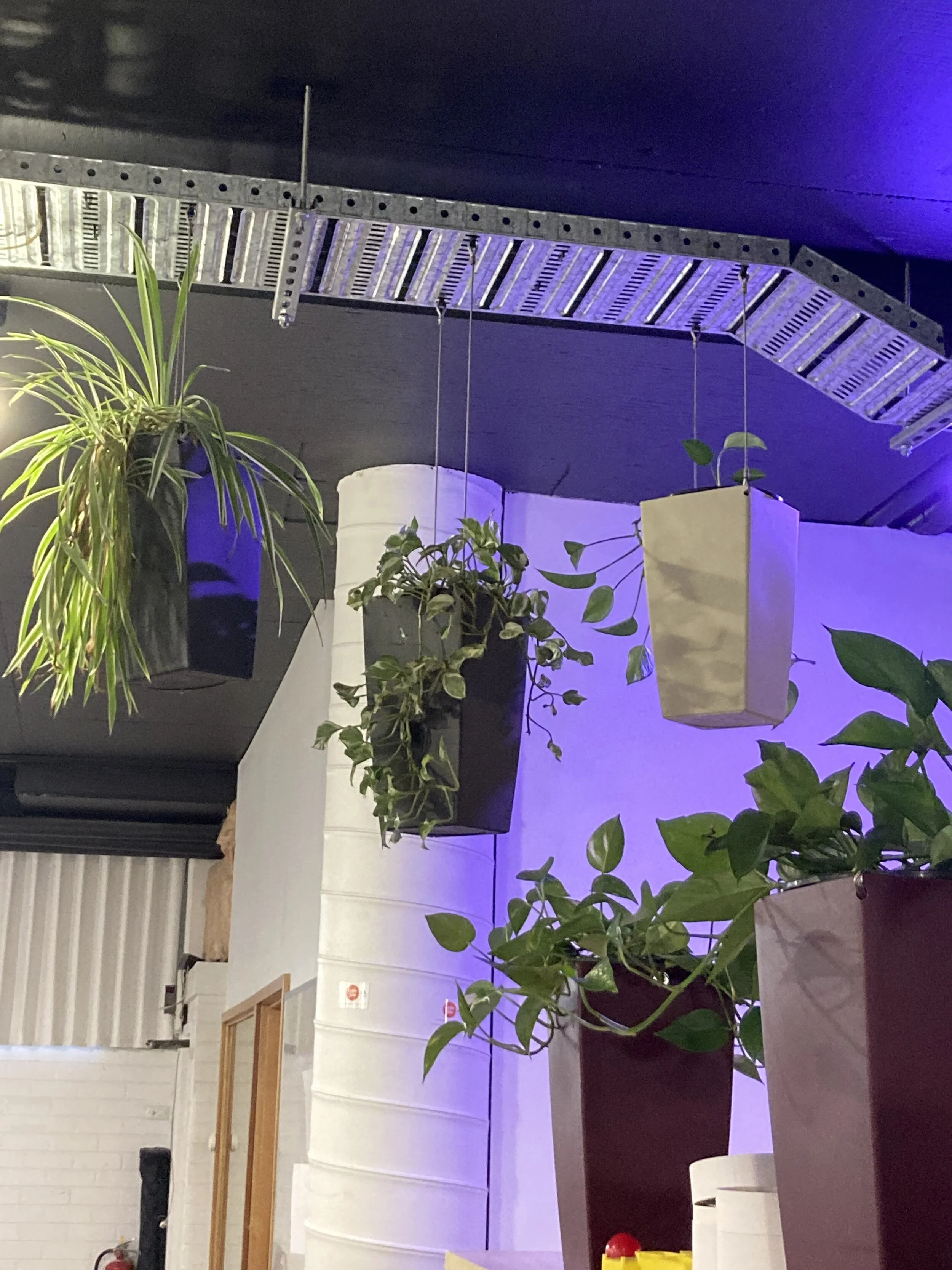  … we work closely with them to ensure we compliment their vision. 