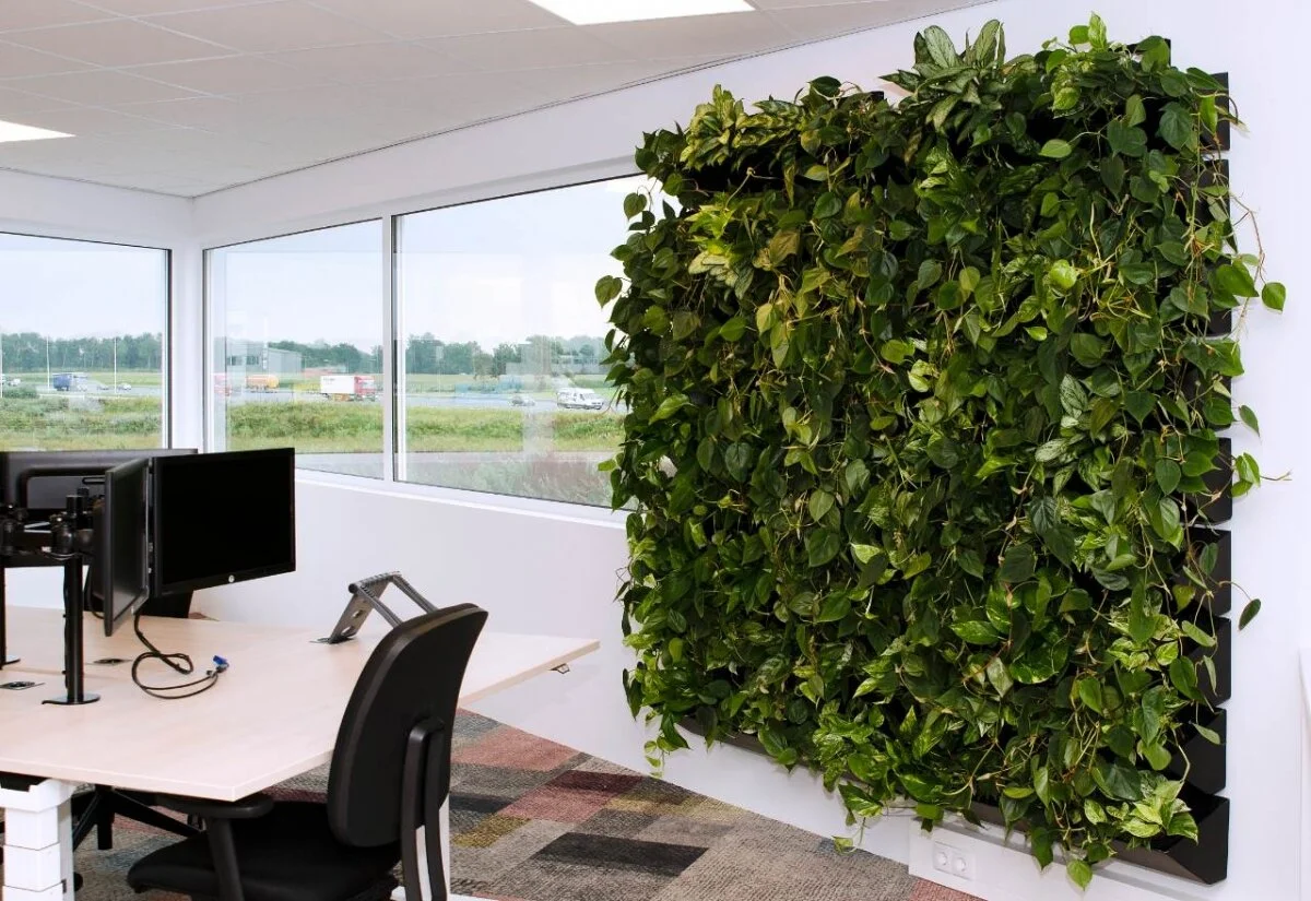 Our NextGen Living Green Walls are hard to go past! 