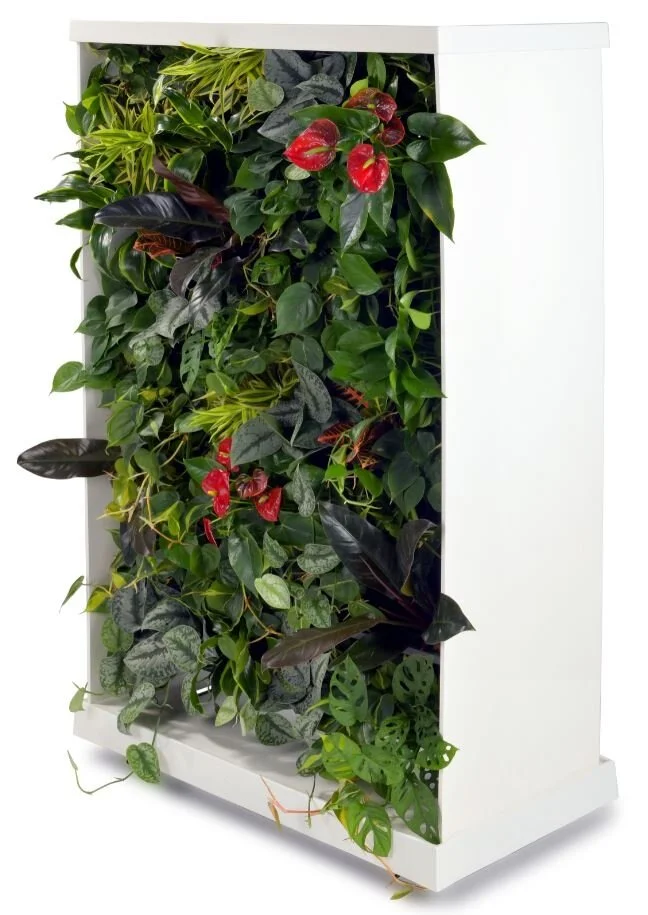 nextgen-living-walls-room_divider-23.jpg