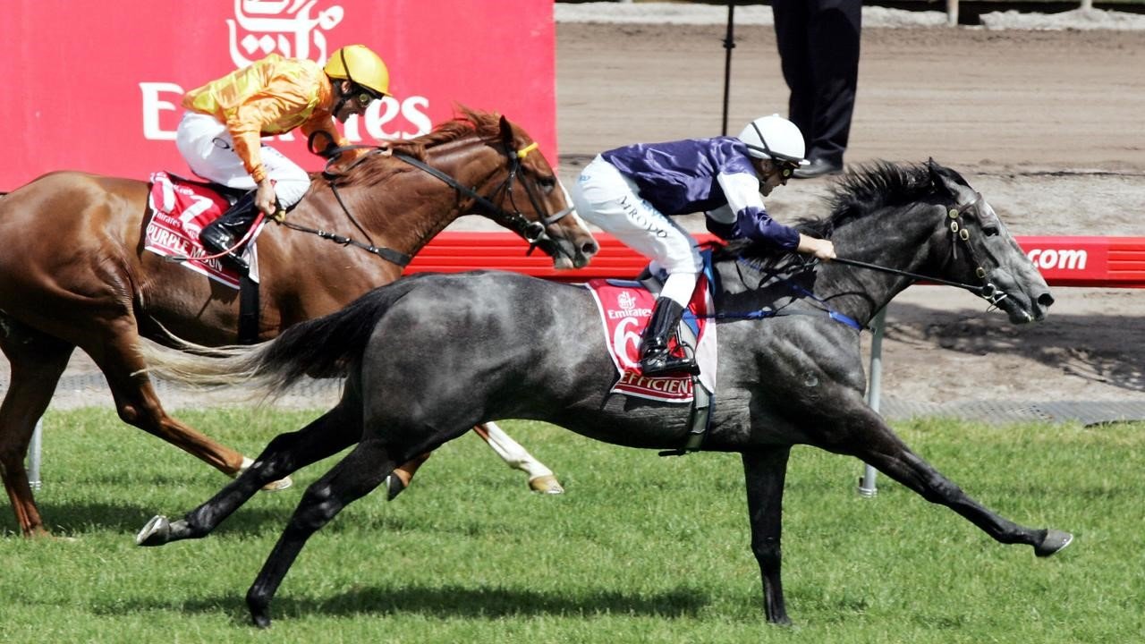 Efficient won the Melbourne Cup