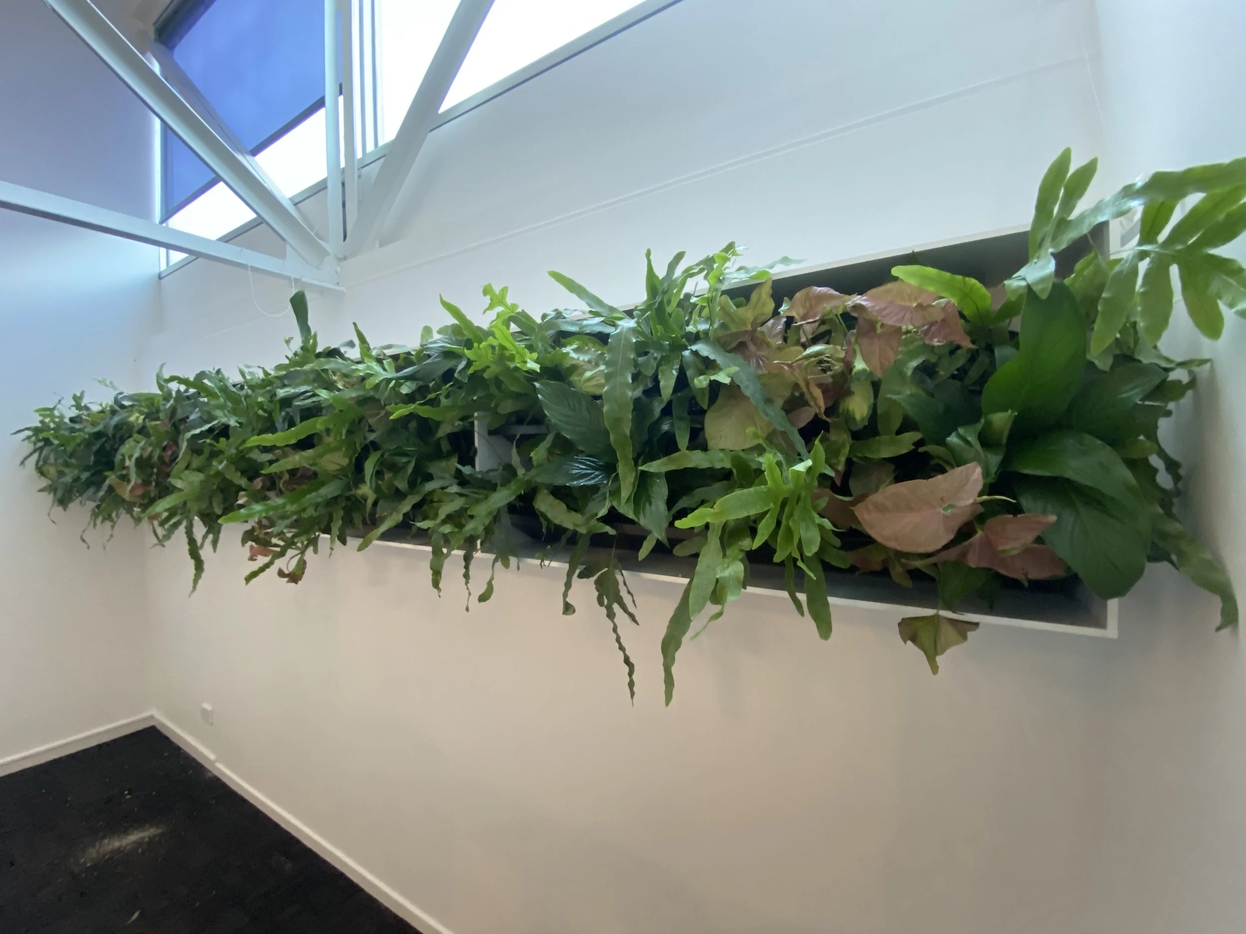  or creating a healthy relaxing atmosphere  