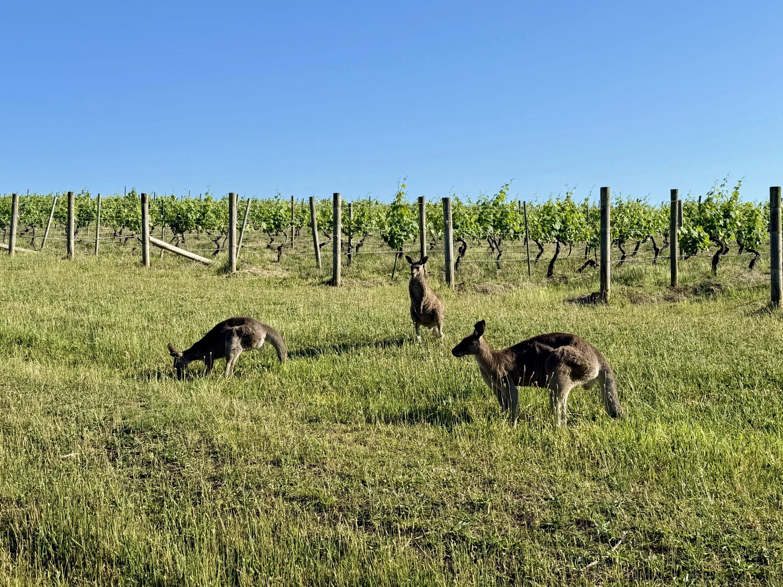 2025 Ergo Conference