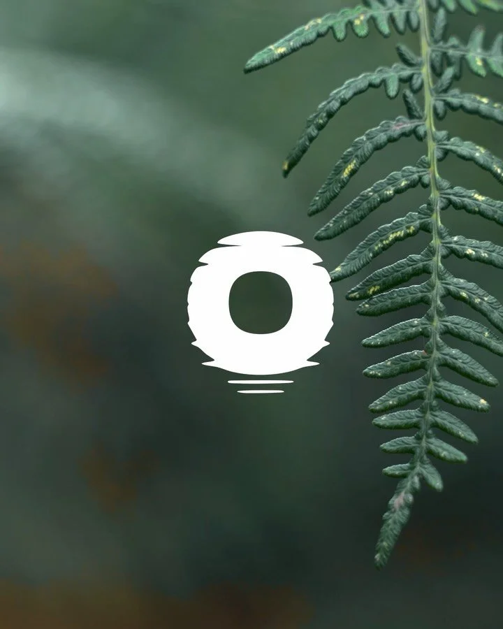 Olliepop Studios is a creative production house working across tourism, adventure and experience led media. Their work speaks for itself. Visually rich. Story first. Built on trust, community and collaboration.

The brand needed to reflect that shift