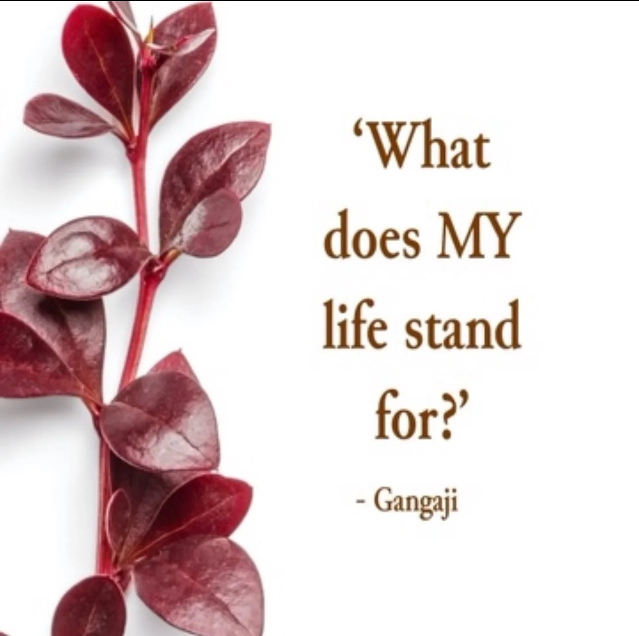 🙋🏻&zwj;♀️ Two InSight Questions&hellip;
&lsquo;What does MY life stand for?&rsquo;
&ndash; Gangaji

&lsquo;What does Life want from me?&rsquo;
&ndash; Eckhart Tolle

These two questions are doorways.
Invitations to reflect from the soul to the self
