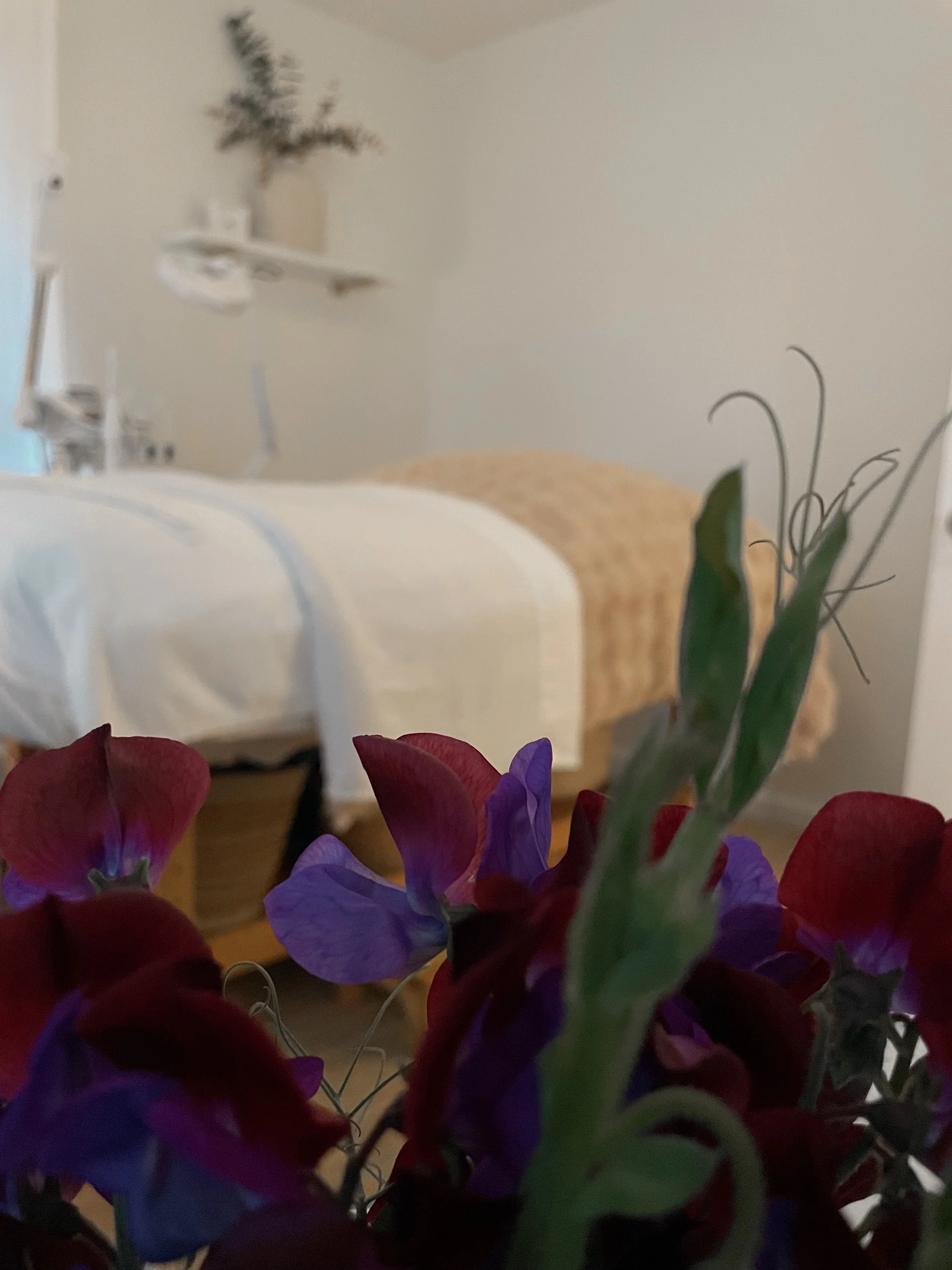 Holistic Skin Remedy is a boutique skin Studio Specializig in Acne Solutions. We offer an Acne program of bi-Monthly Facials with Extended Extractions designed to Clear Skin with Face Reality Skincare products.