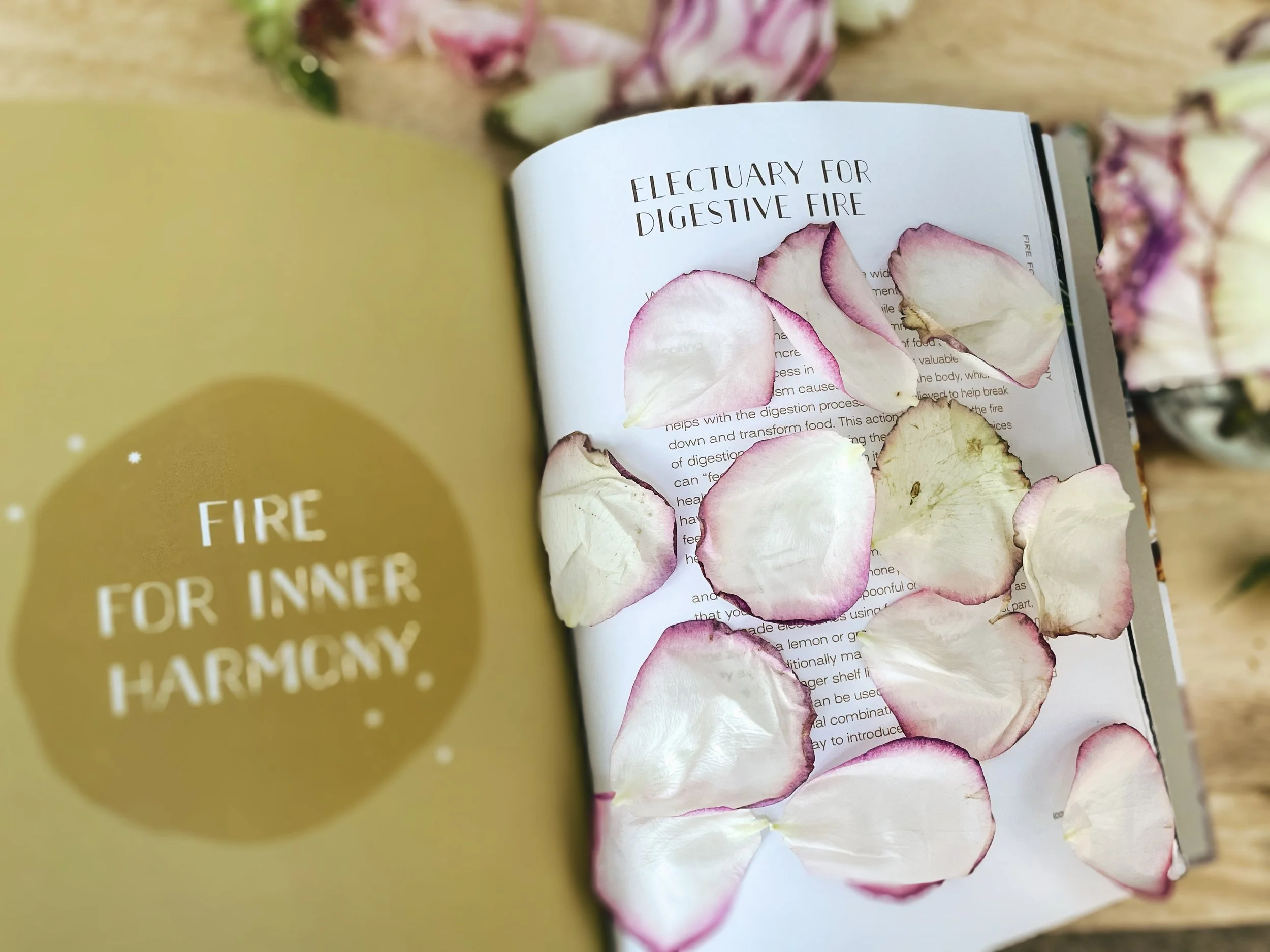 Ance Facials, Acne Specialist, Face Reality Skincare, Santa Cruz, Capitola, California, Aptos, Scotts Valley, Waxing, Brows, Brow Lamination, Brazillians, Peels, Microdermabrasion, chemical peels, LED Light Therapy