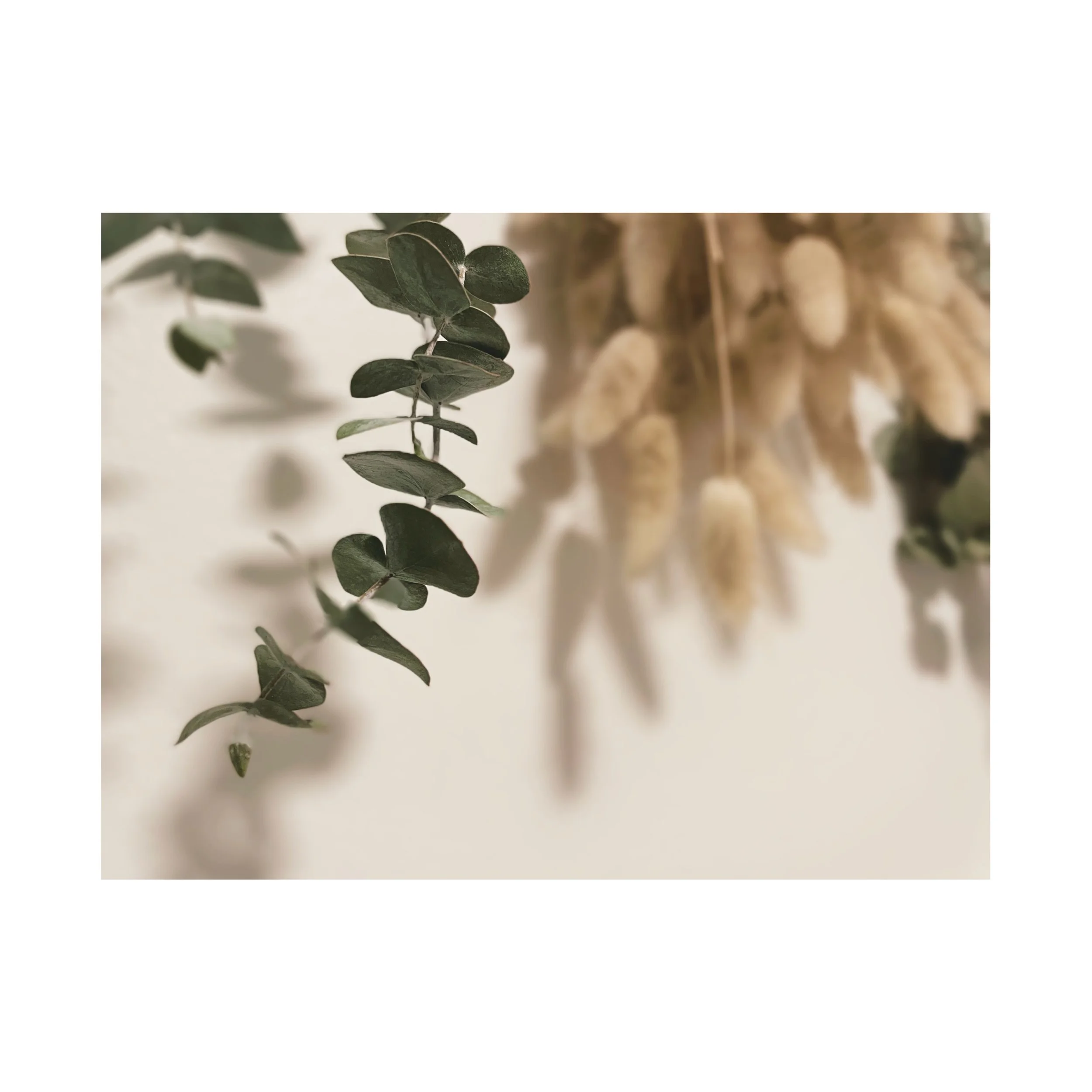 Esthetician, Brow Wax, Body Wax, Laminations, Lash Lift, Buccal Face Massage, Epicuren Skin Care, Image Skin CareSanta Cruz, Capitola, Aptos, Scotts Valley, Facials, Massage, Acne, Face Reality, Gua Sha, Lymphatic Massage, MLD