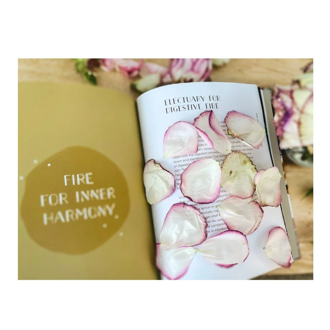 Holistic Skin Remedy. Gua Sha Facials, Acne Specialist, Capitola, California. Microdrmabrasion. Dermaplaning. Peels. Extractions. LED Light Therapy. Body Waxing. Acne Expert. Extractions. Teen Facials. Face Reality Skin Care. Santa Cruz,
