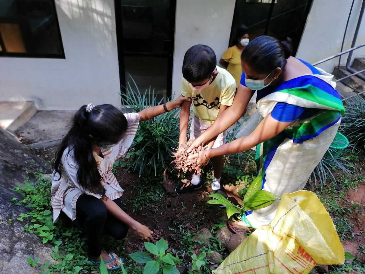 Tree planting