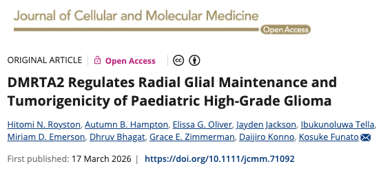 Screenshot 2026-03-18 at 7.38.56 PM.png