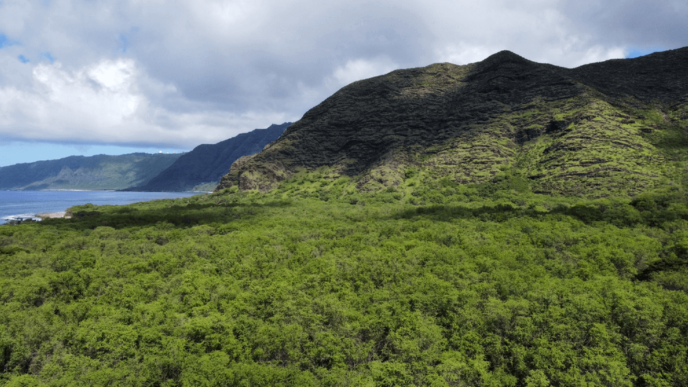 Ohikilolo Ranch — Ohikilolo Ranch