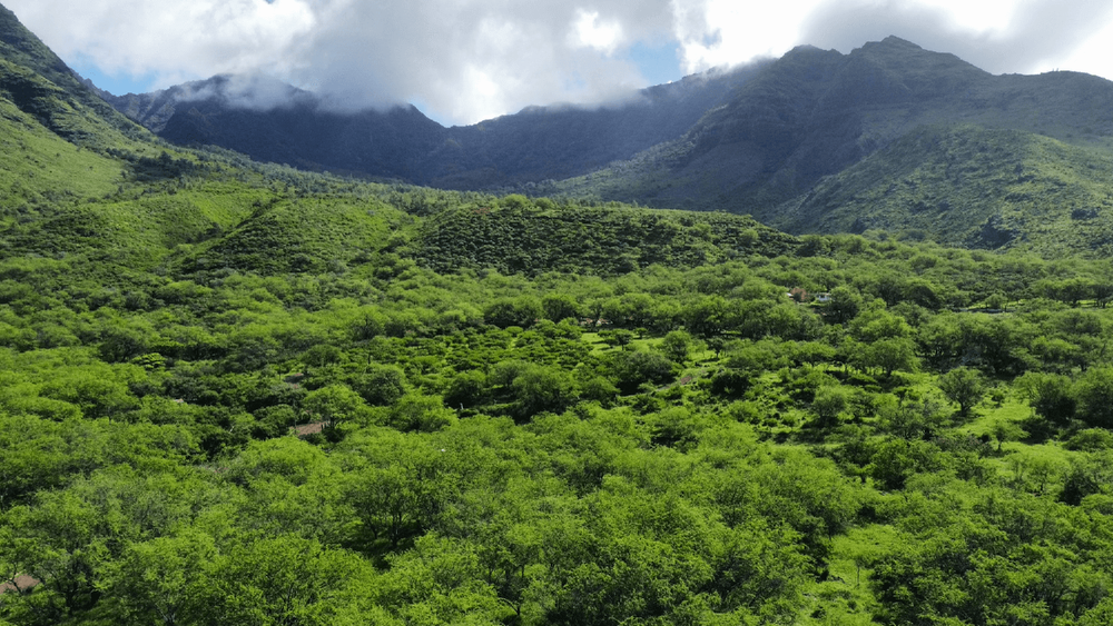 Ohikilolo Ranch — Ohikilolo Ranch