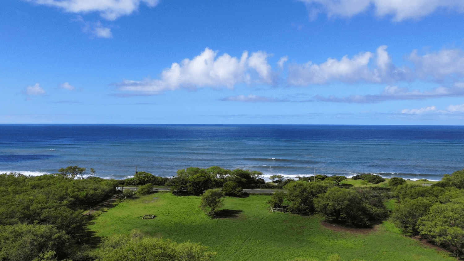 Ohikilolo Ranch All Natural Kiawe Mesquite Firewood