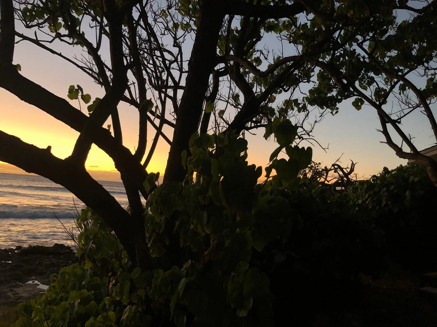 Contact — Ohikilolo Ranch