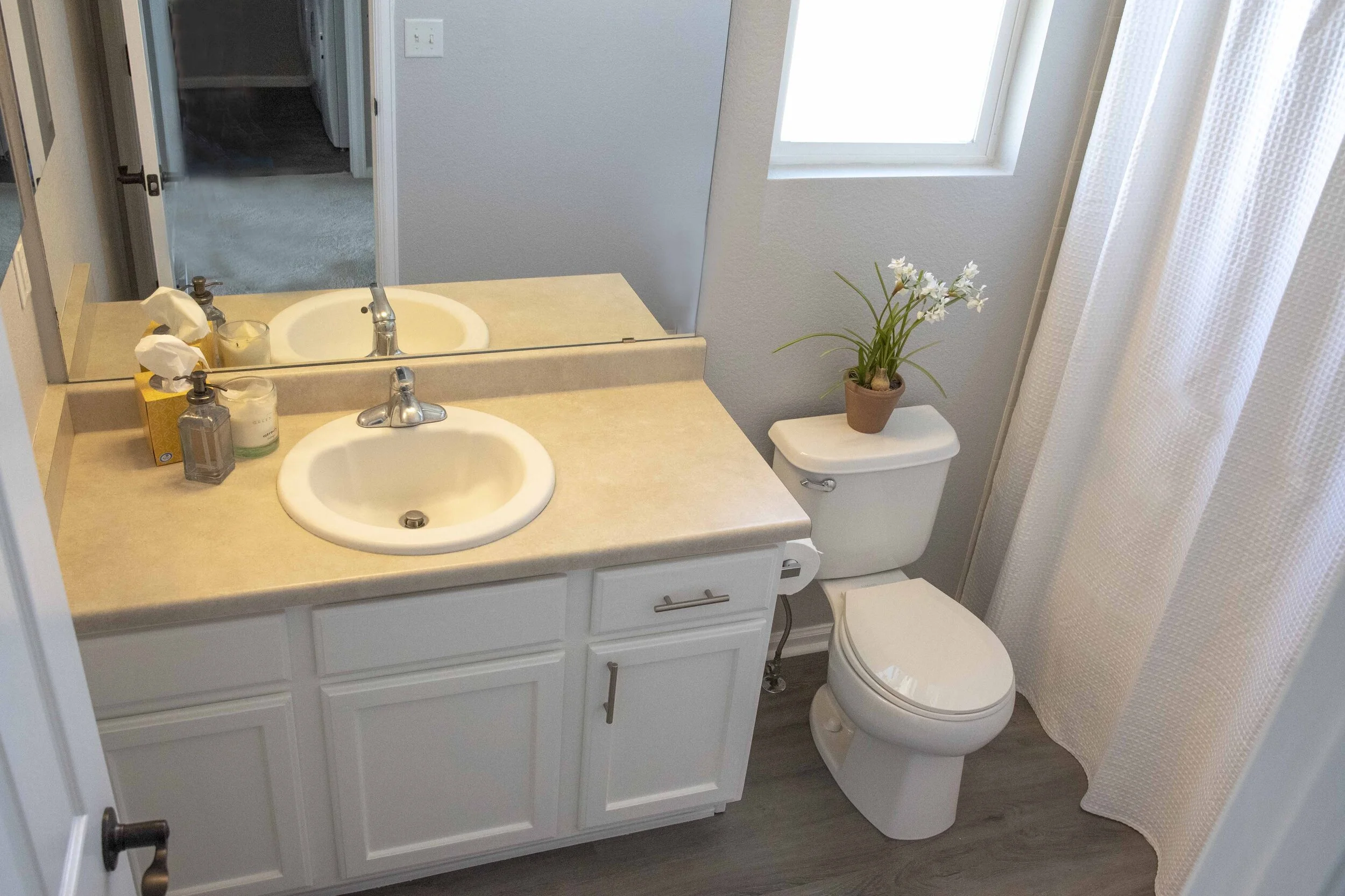 Guest Bath