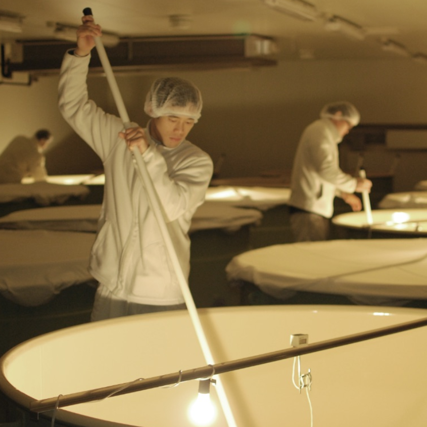 Why a Japanese Sake Giant Bet on the Hudson Valley