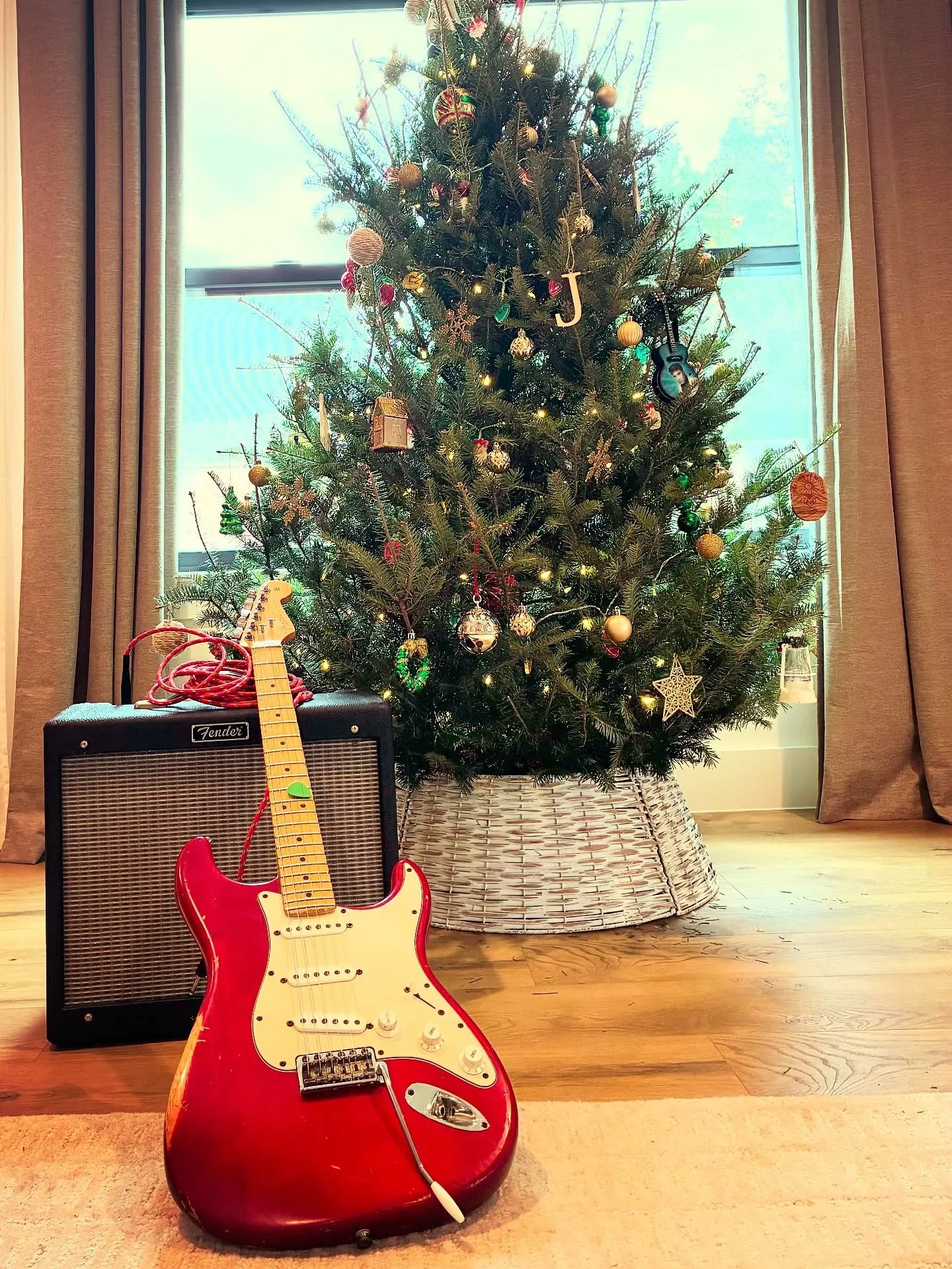 Merry Christmas and Happy New Year from Austin, TX🎄 🎸

- Jelly, Lauren, Bowie, and Lucille