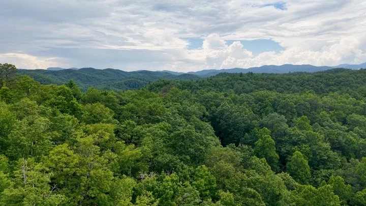 The Firetower Sessions // Carolina (Live) Out Now. ⛰️ 

Paid my buddy @john_trufant a visit to play some tunes out in the Blue Ridge. ⛰️ Here&rsquo;s a a tune we wrote &ldquo;Carolina&rdquo; captured live from the Firetower. Click on link in bio to w