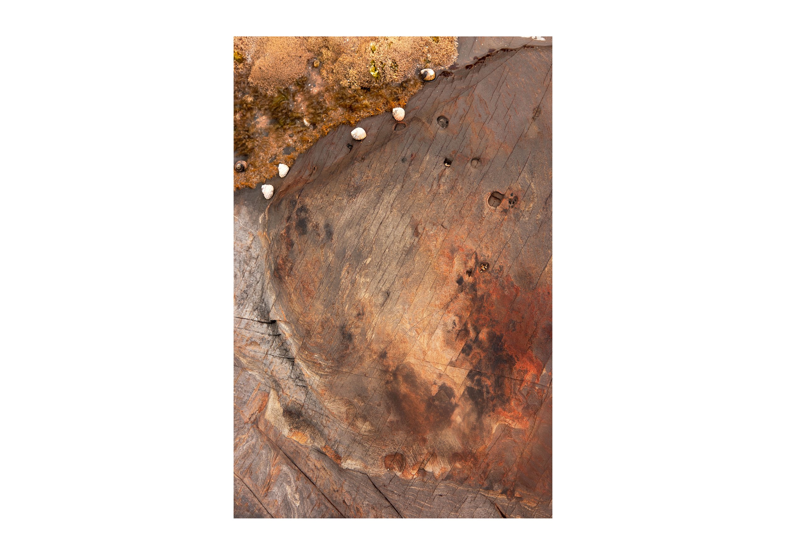 Harmers Haven III.jpg