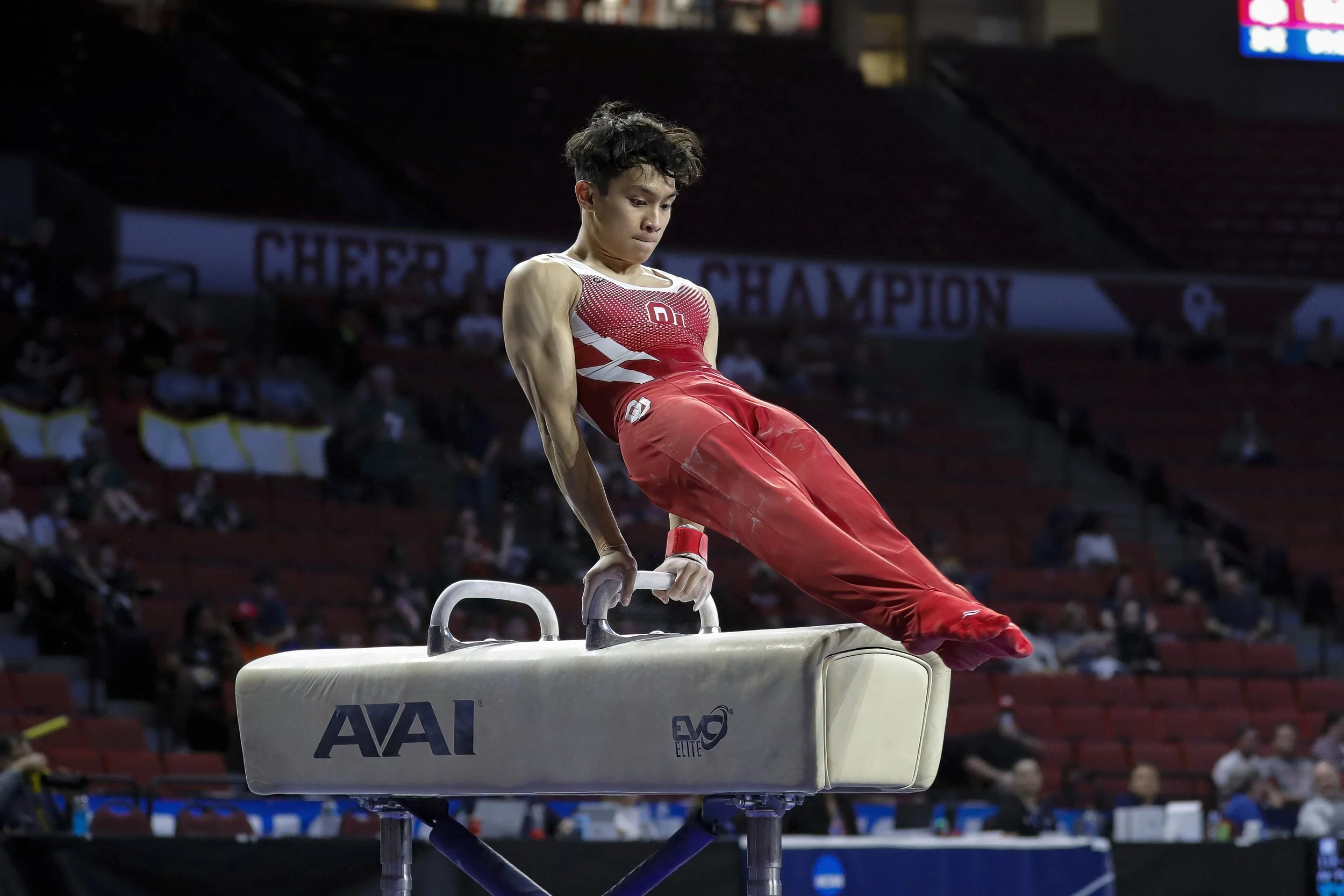 male gymnast on pommel horse