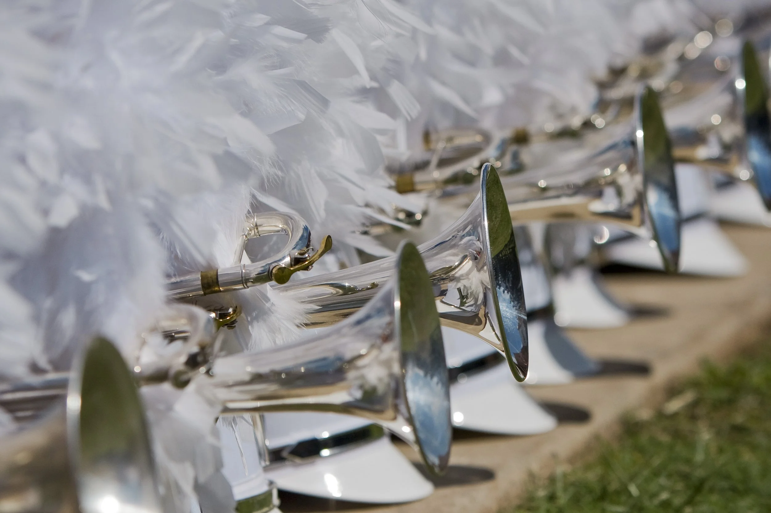 trumpets and feather from hats laying on the ground