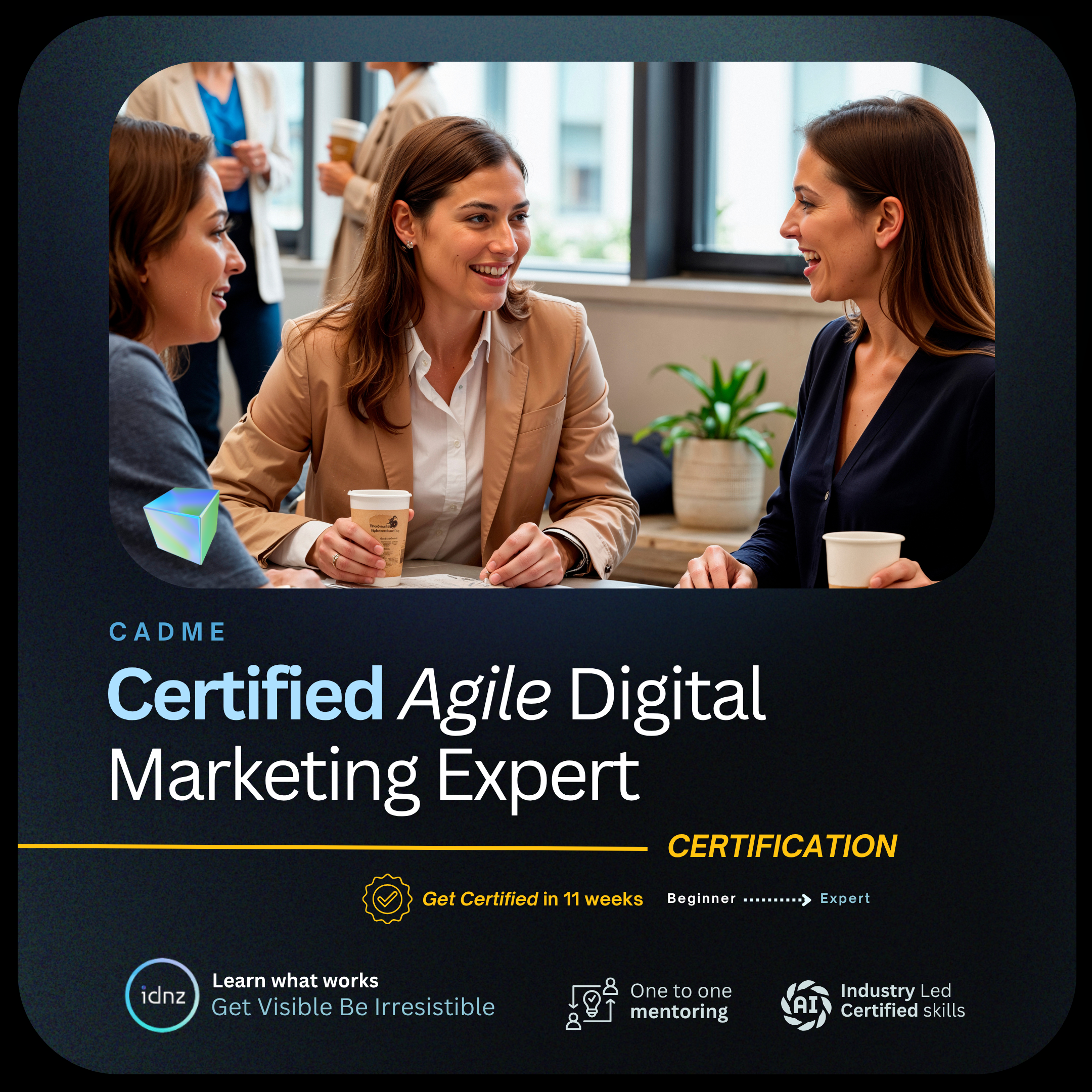 IDNZ Certified Agile Digital Marketing Expert Course NZ.png