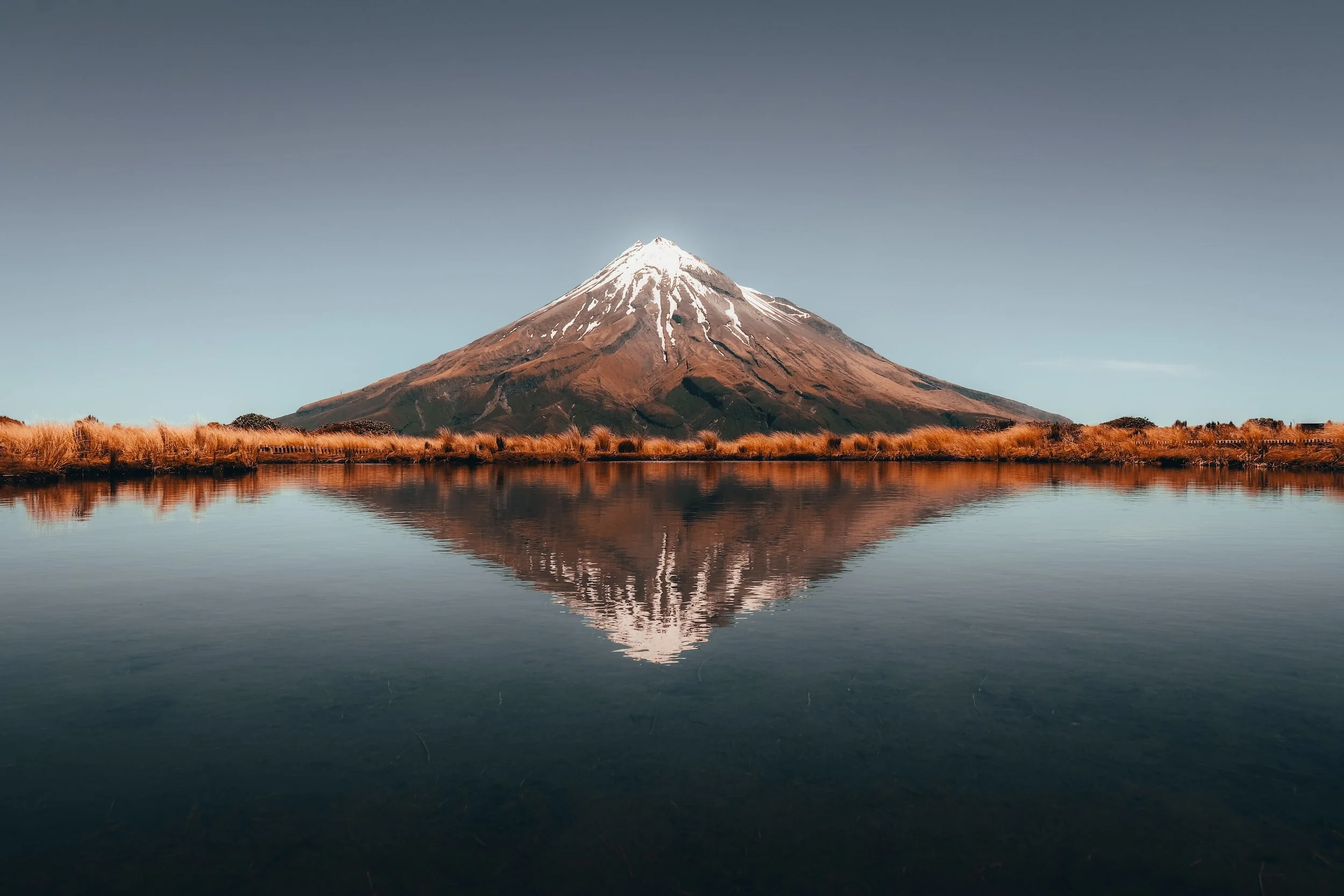 Venture Taranaki