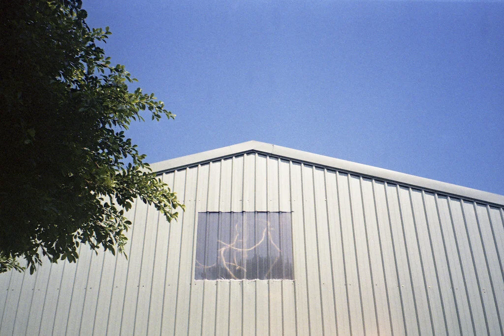beneath the noise 001.jpg