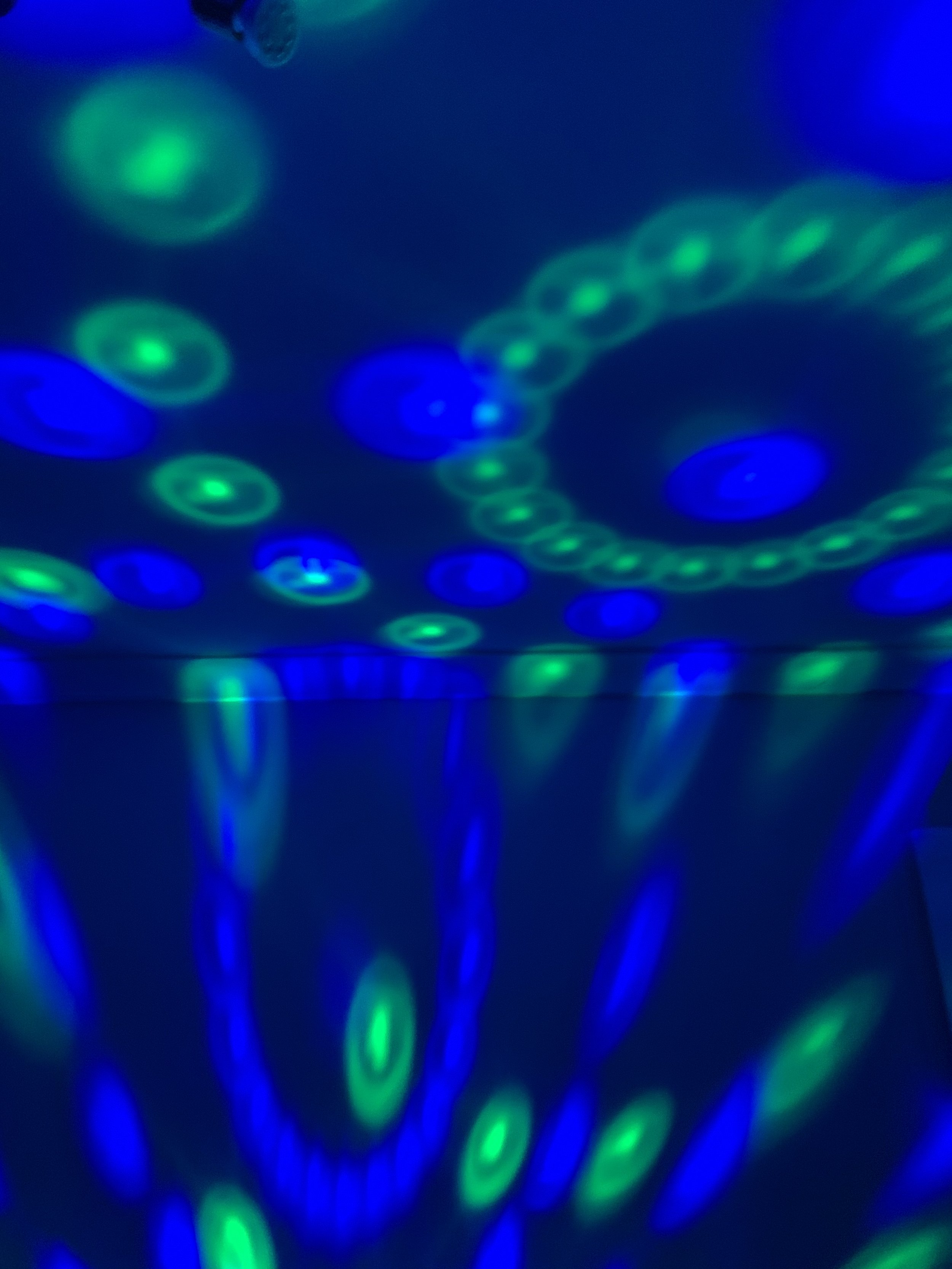 5BE30686-4707-4F97-B442-09B89A96A1CB.jpeg