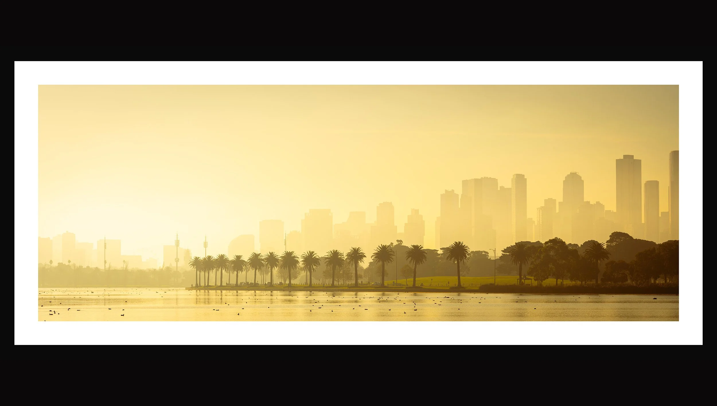 Website Print Albert Park Golden.jpg