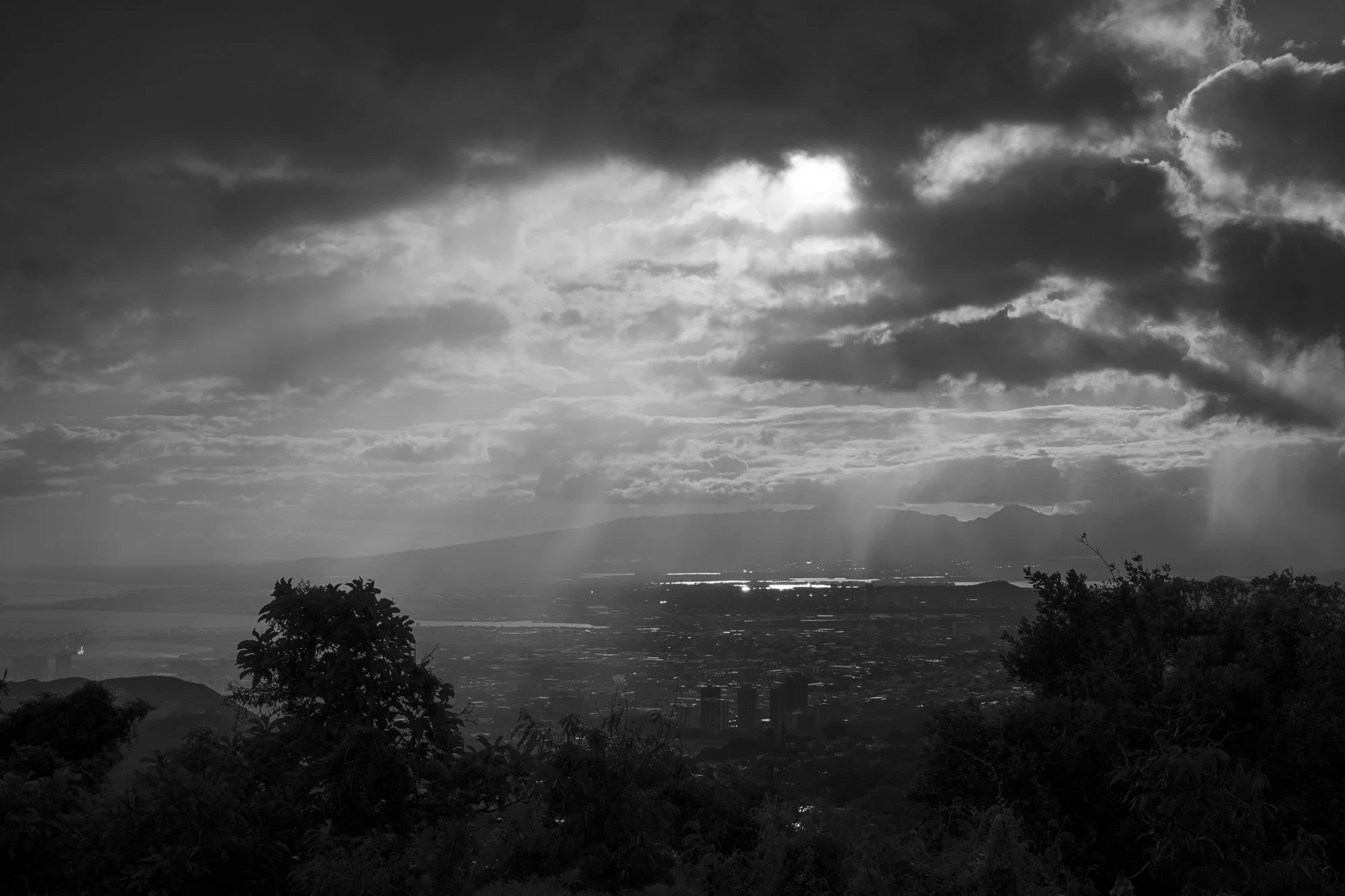 coates_20240703_2869.jpg
