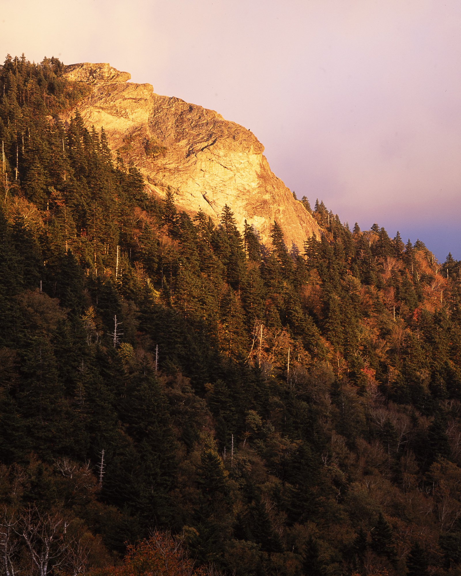 coates_cp120_0008_25.jpg