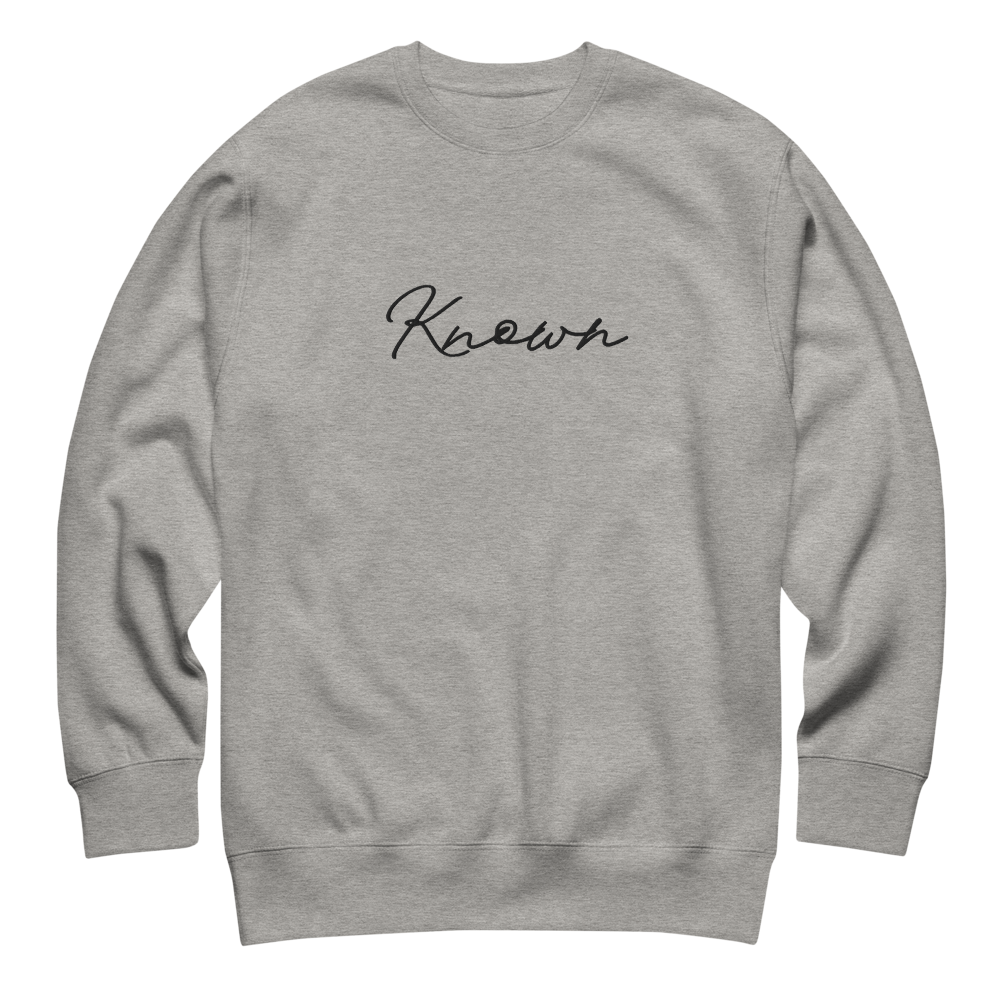 unisex-premium-sweatshirt-carbon-grey-front-698ee9a9399b6.png