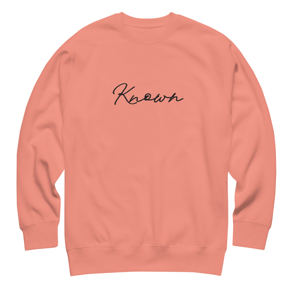 unisex-premium-sweatshirt-dusty-rose-front-698ee9a90766b.png