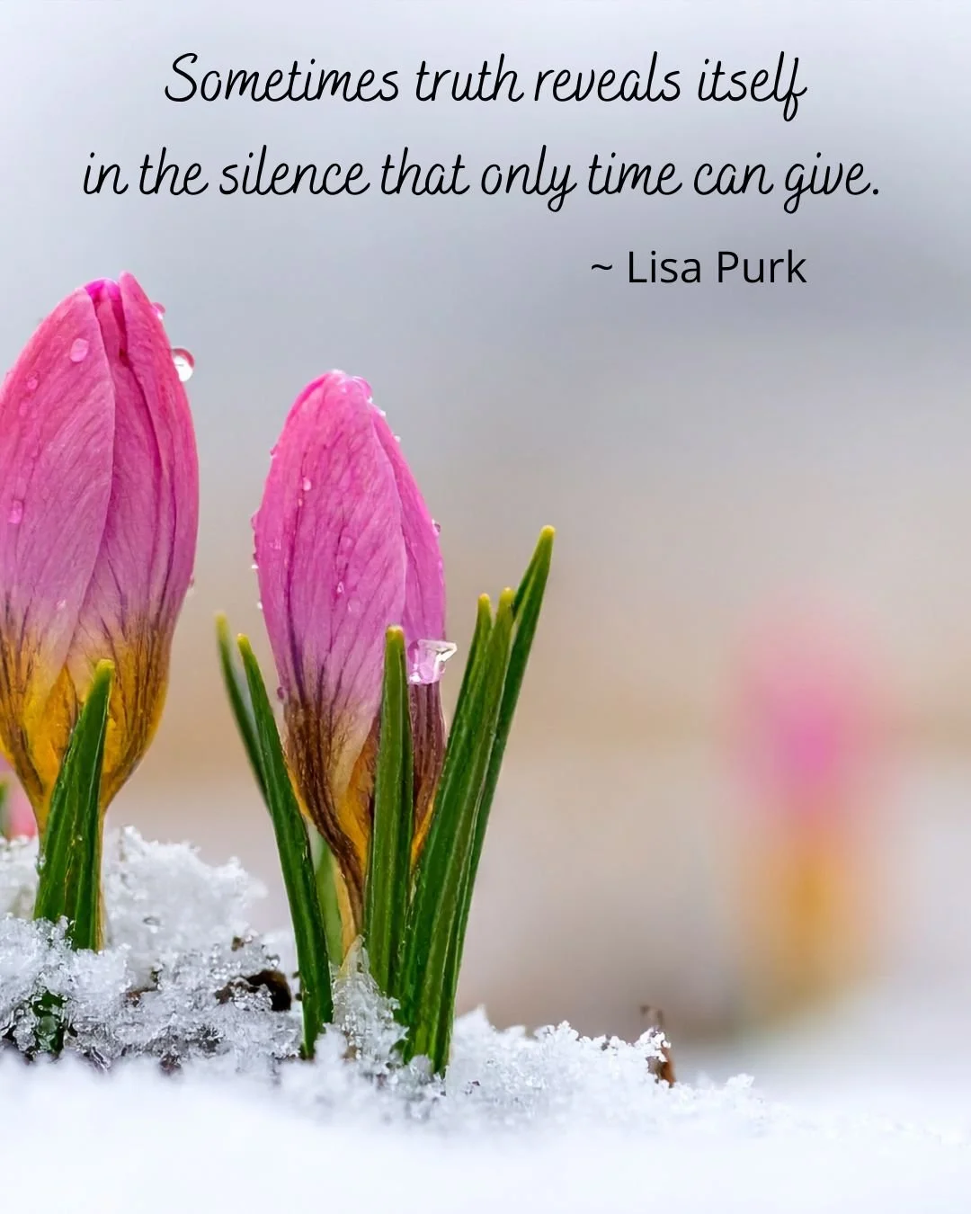 Stillness Matters
