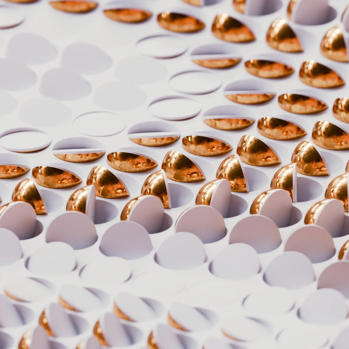 Number 1625 - 23.08.2025