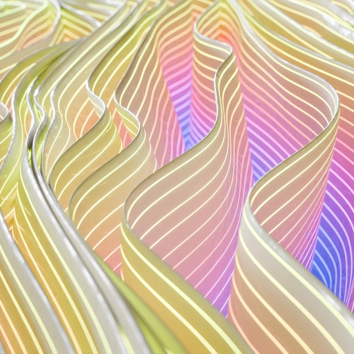 Number 1816 - 02.03.2026