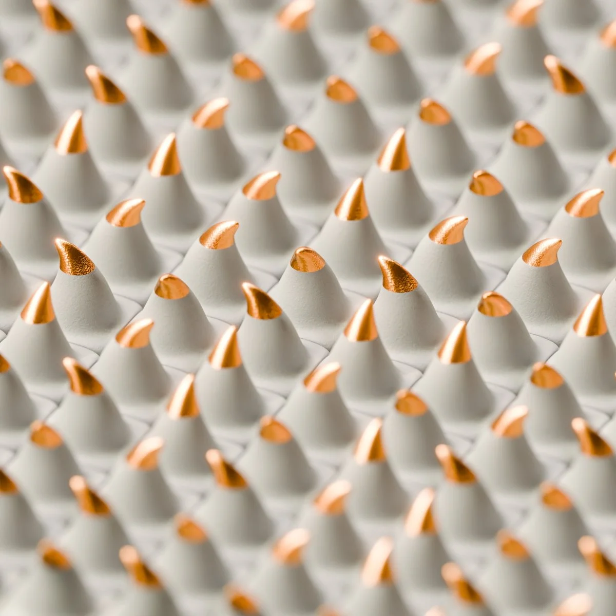 Number 1825 - 11.03.2026