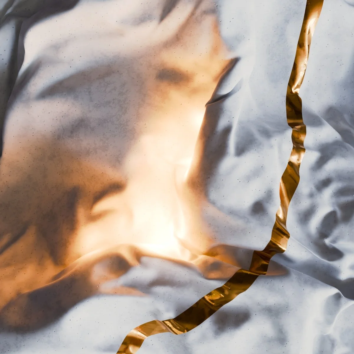 Number 1602 - 31.07.2025