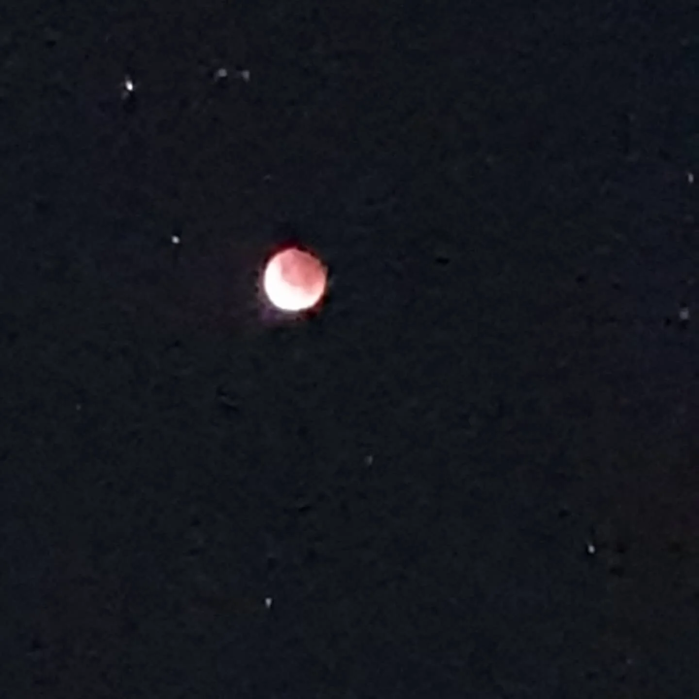 We pointed the torch at it for funzies 😁 round 2 of my #lunareclipse #supermoon #fullmoon #melbourne #spaceausmoon