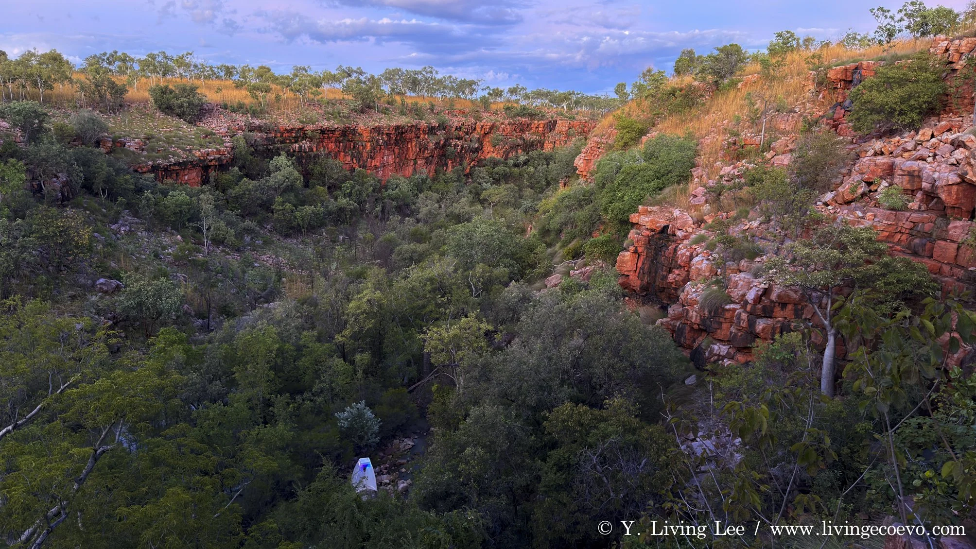 Light trapping in the sandstone gully @ WA, Wyndham, The Grotto