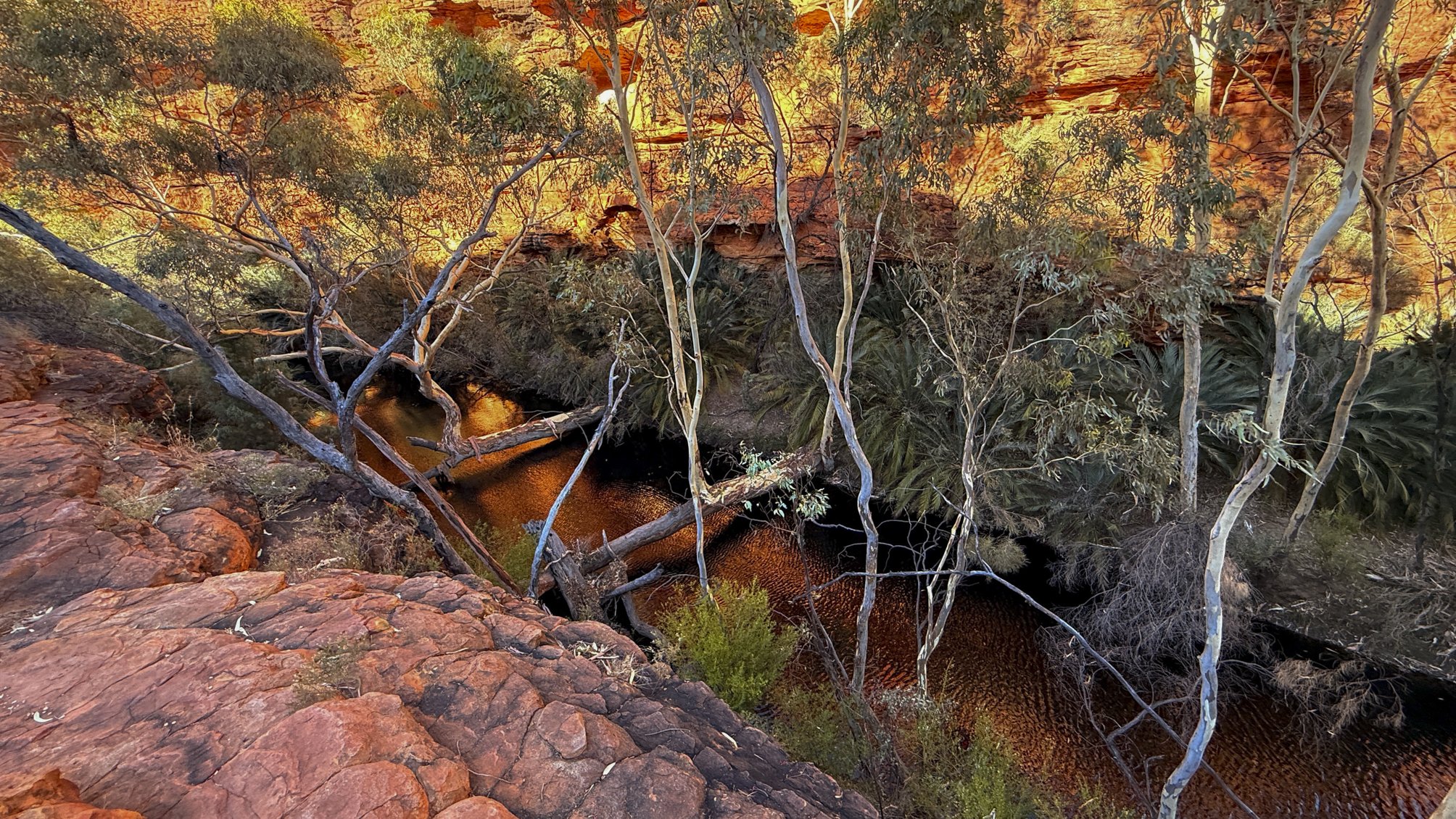 Garden of Eden @ NT, Kings Canyon