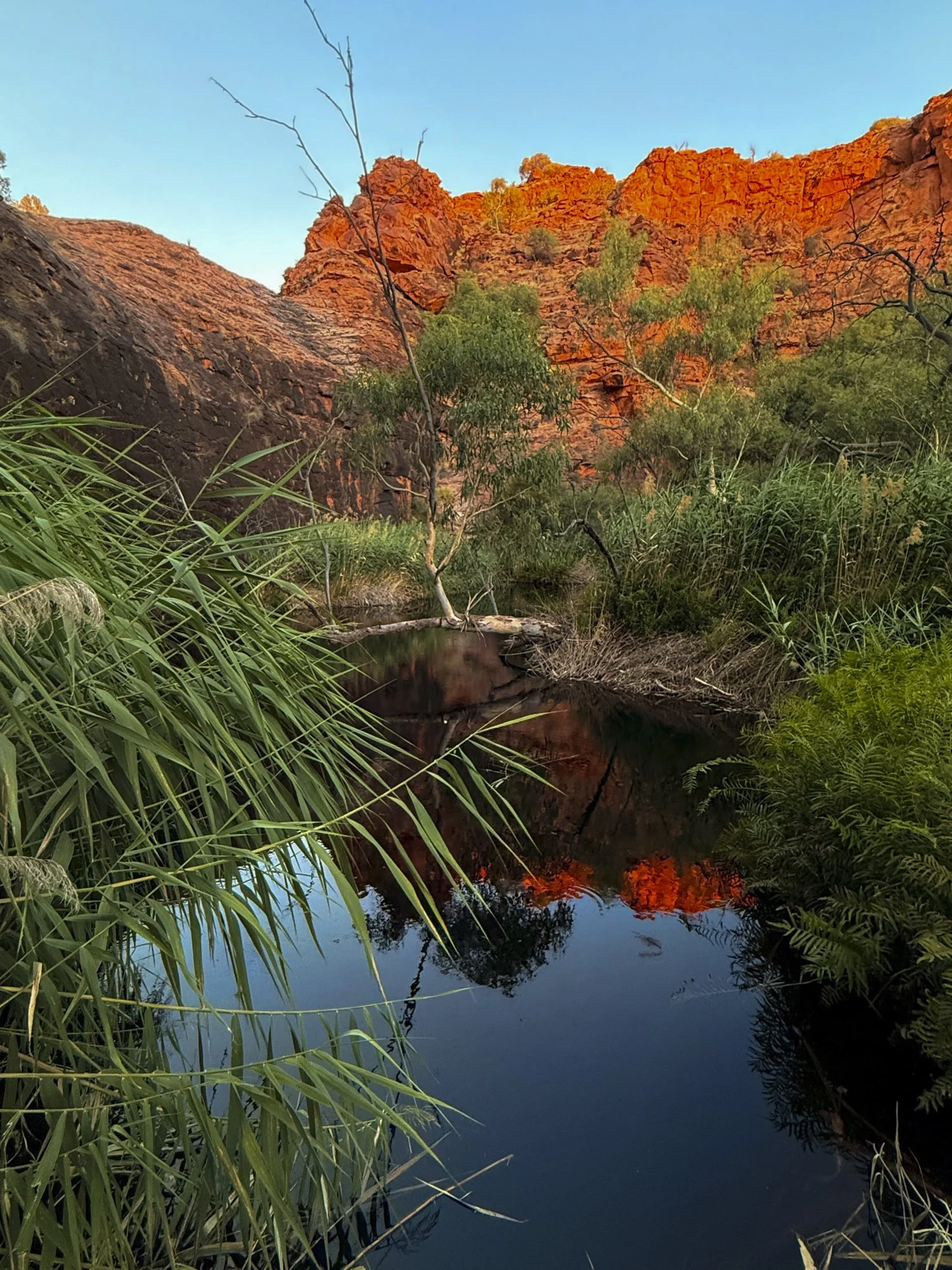 Permanent waterhole at Kathleen Springs @ NT, Kings Canyon