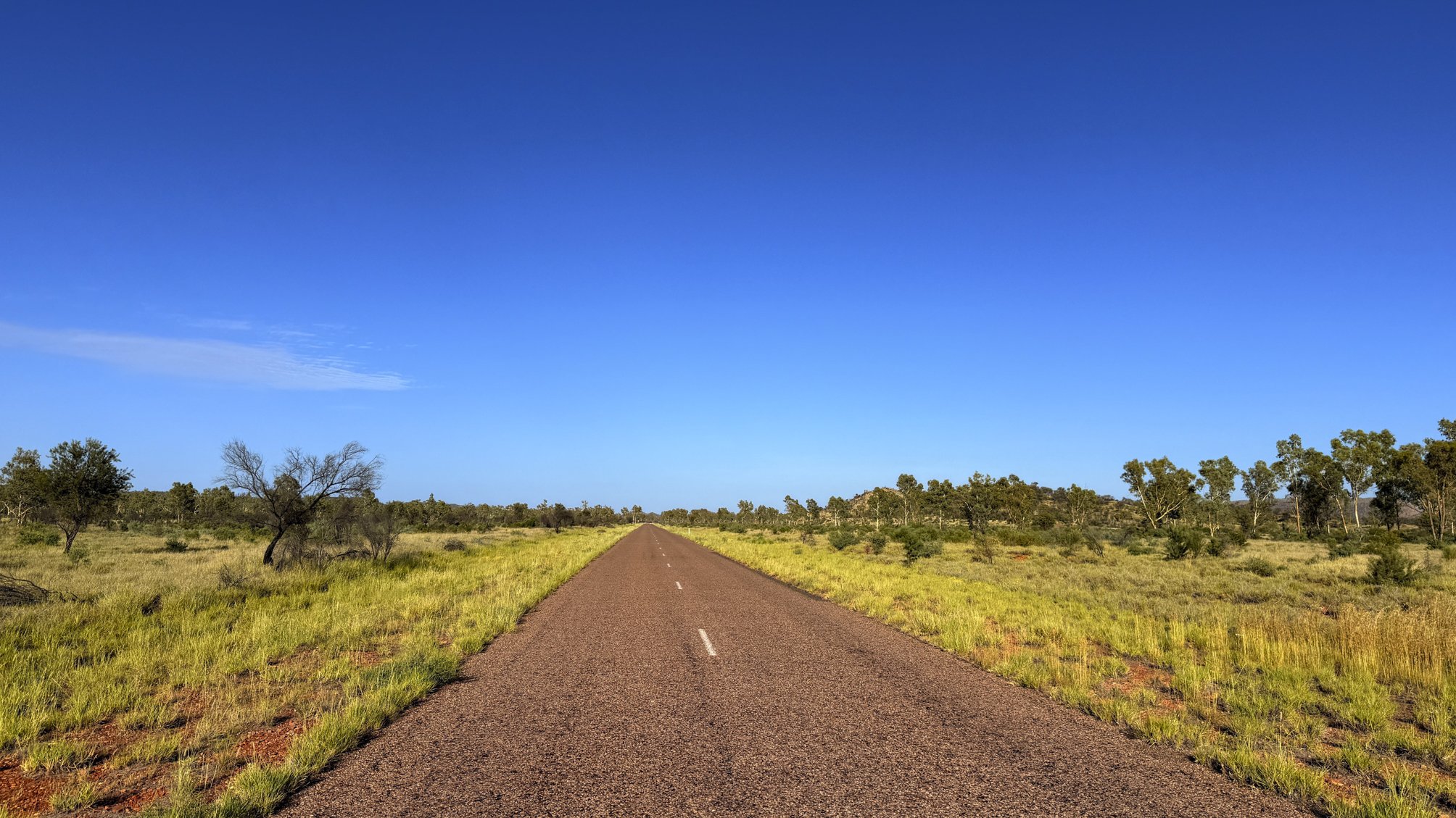 Last night's desert rain, painted the red center way, fifty shades of green @ NT, West MacDonnell Range
