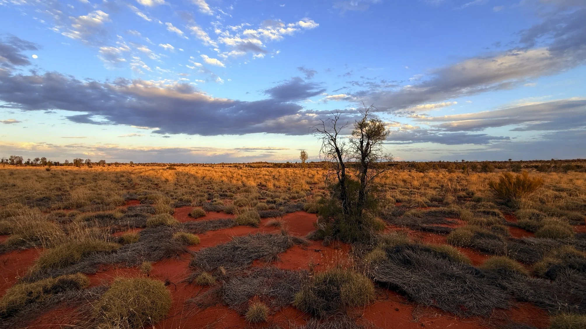 Yulura after a light rain @ NT, Yulura