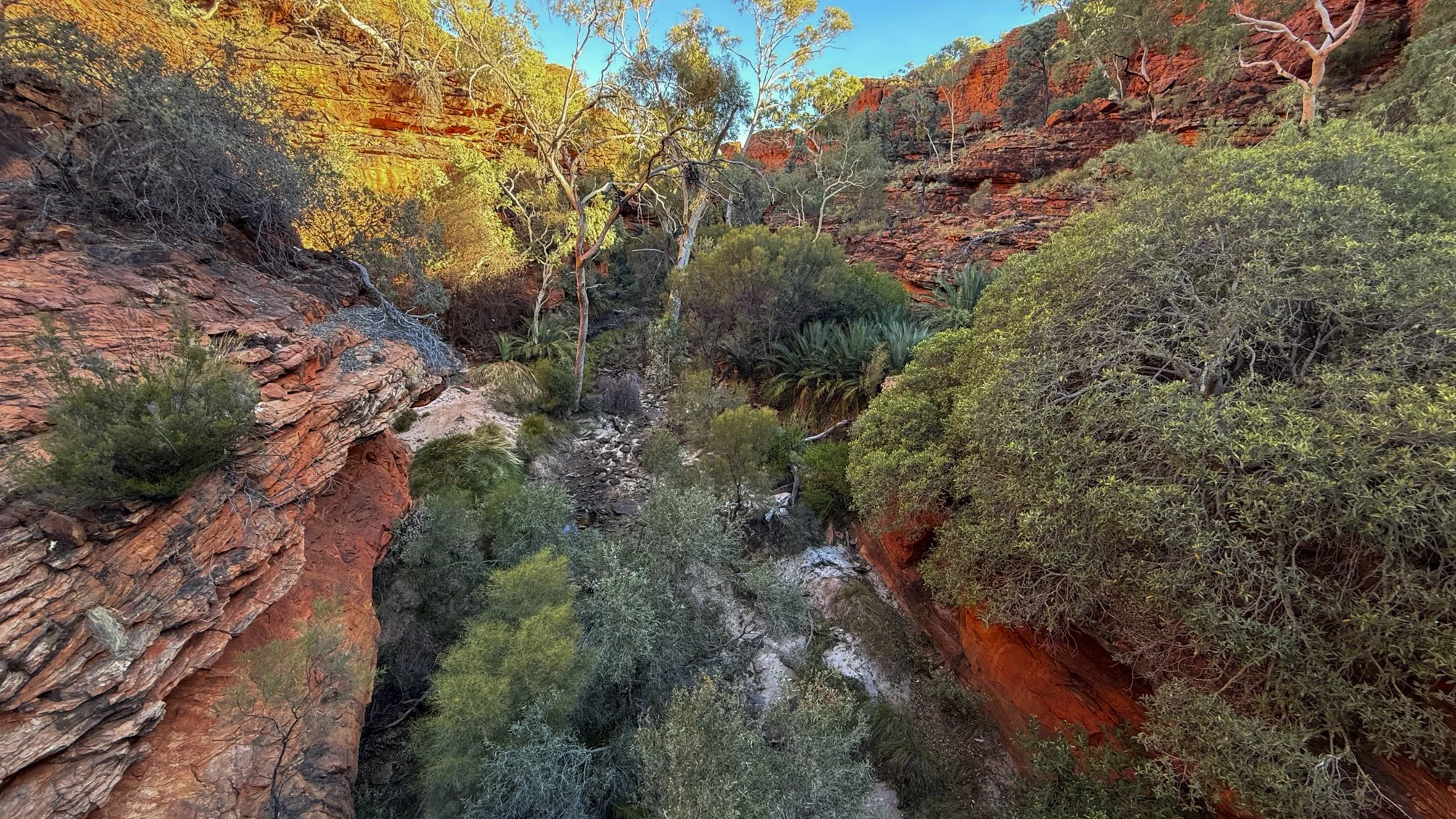 Garden of Eden @ NT, Kings Canyon