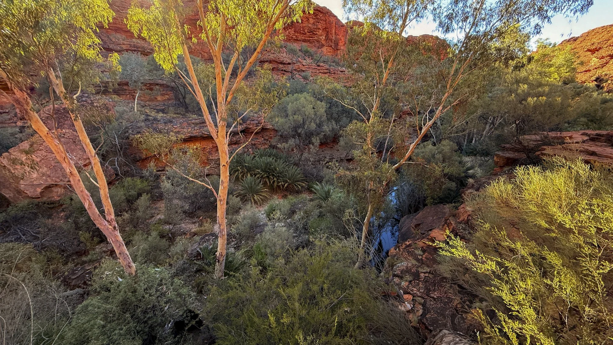 Garden of Eden @ NT, Kings Canyon