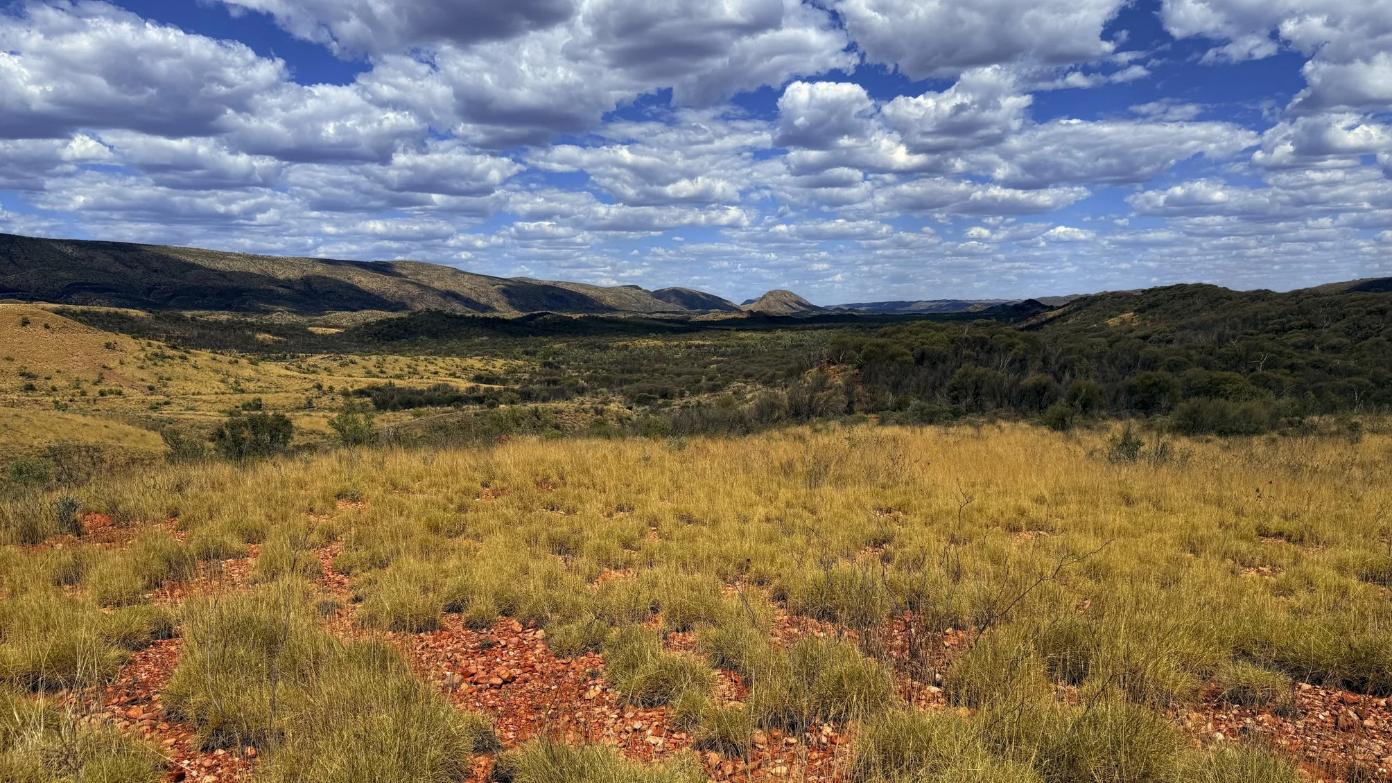 Spinifex clad rocky ranges @ NT, Red Center way, West MacDonnell Range