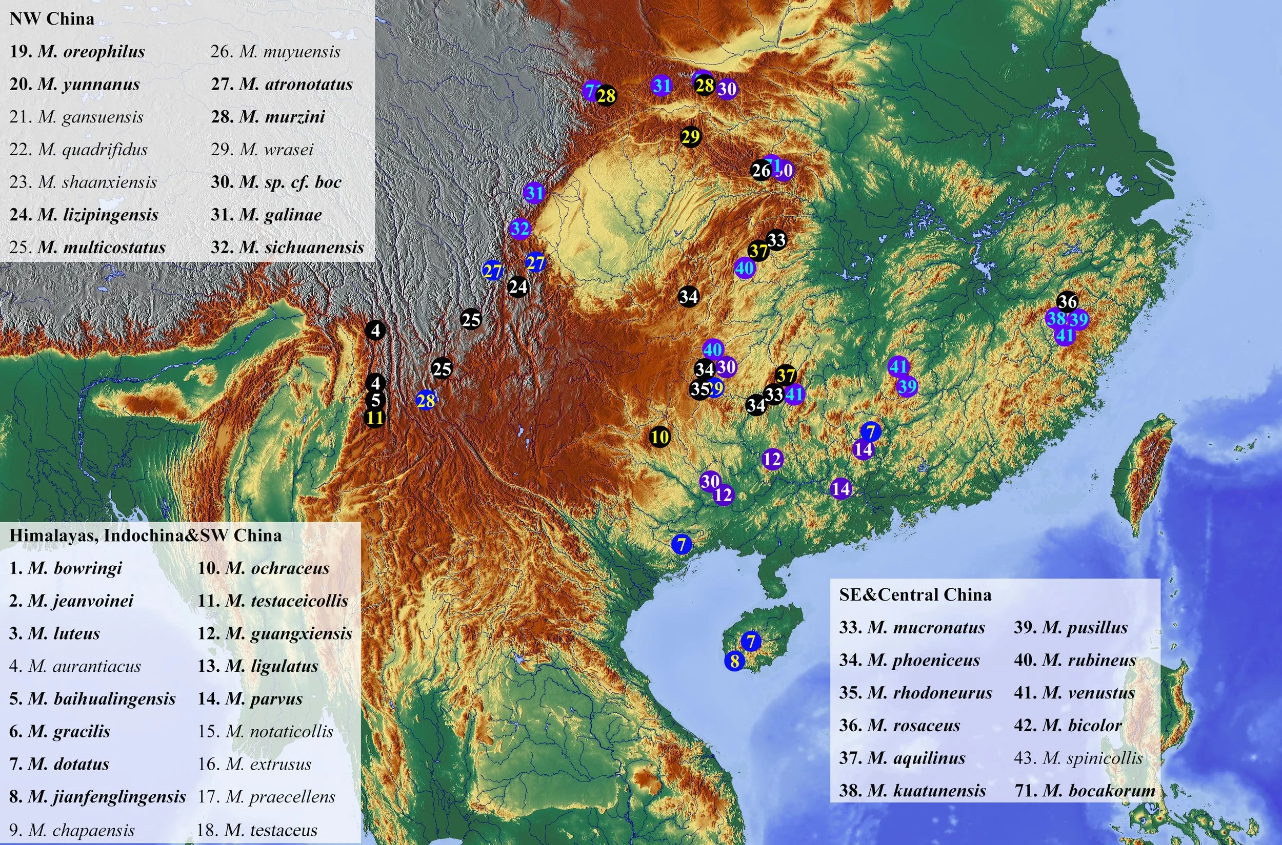 A topographical map of China displaying distribution of various mountain species, with color-coded regions and numbered locations indicating specific species, accompanied by a legend listing species names associated with numbers.