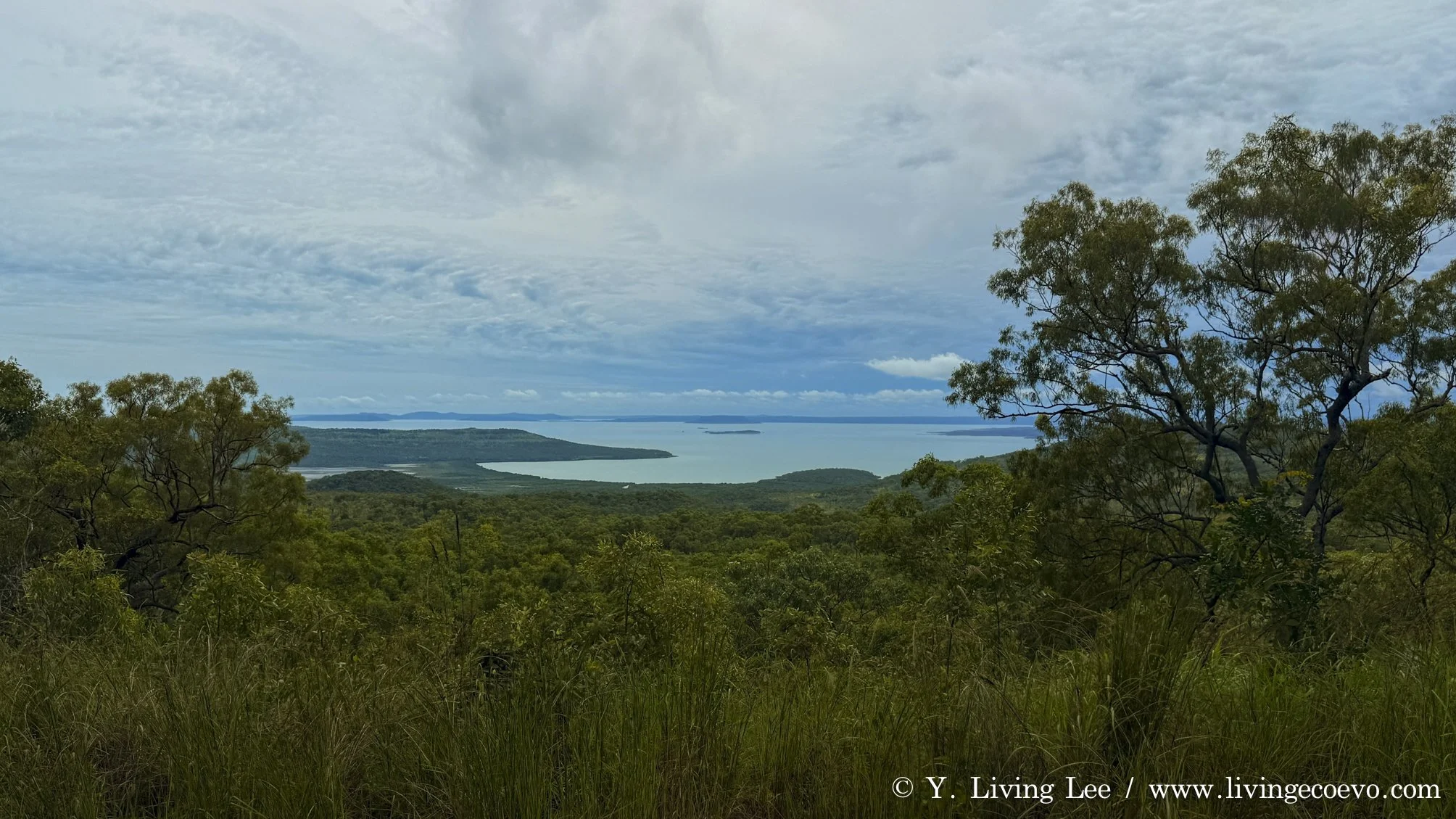 Coastal view at Walsh's Point lookout. According to Terry, GOOD Fishing! @ WA, Mitchell plateau